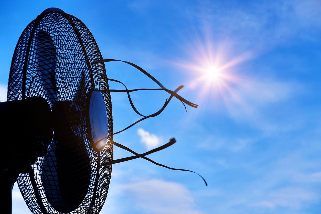 KAKO VISOKE TEMPERATURE UTIČU NA NAŠE ZDRAVLJE: Analiza efekata na mozak tokom vrelih dana i saveti za ublažavanje simptoma