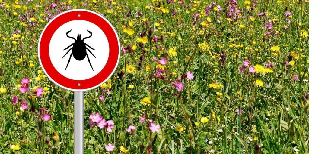 NASTAVLJA SE AKCIJA SUZBIJANJA KRPELJA NA VOŽDOVCU: Tretmani planirani na više lokacija u opštini