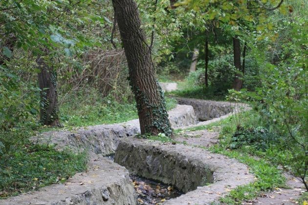 OAZA PRIRODE NA BANJICI: Bajfordova šuma - zaštićeno stanište sa impresivnim bogatstvom