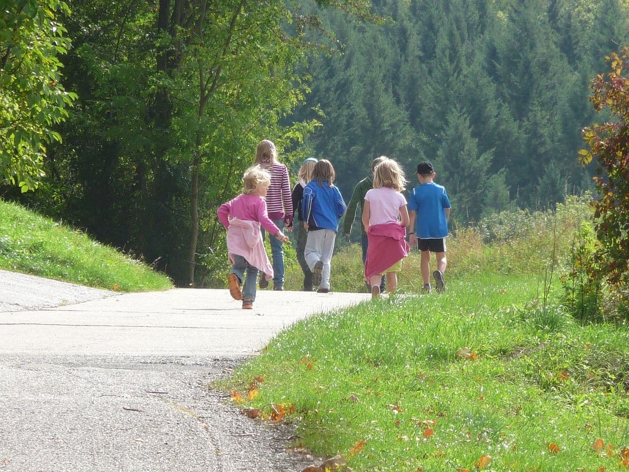 VIKEND VODIČ ZA AKTIVNOSTI NA VOŽDOVCU: Šta posetiti i kako uživati u vremenu