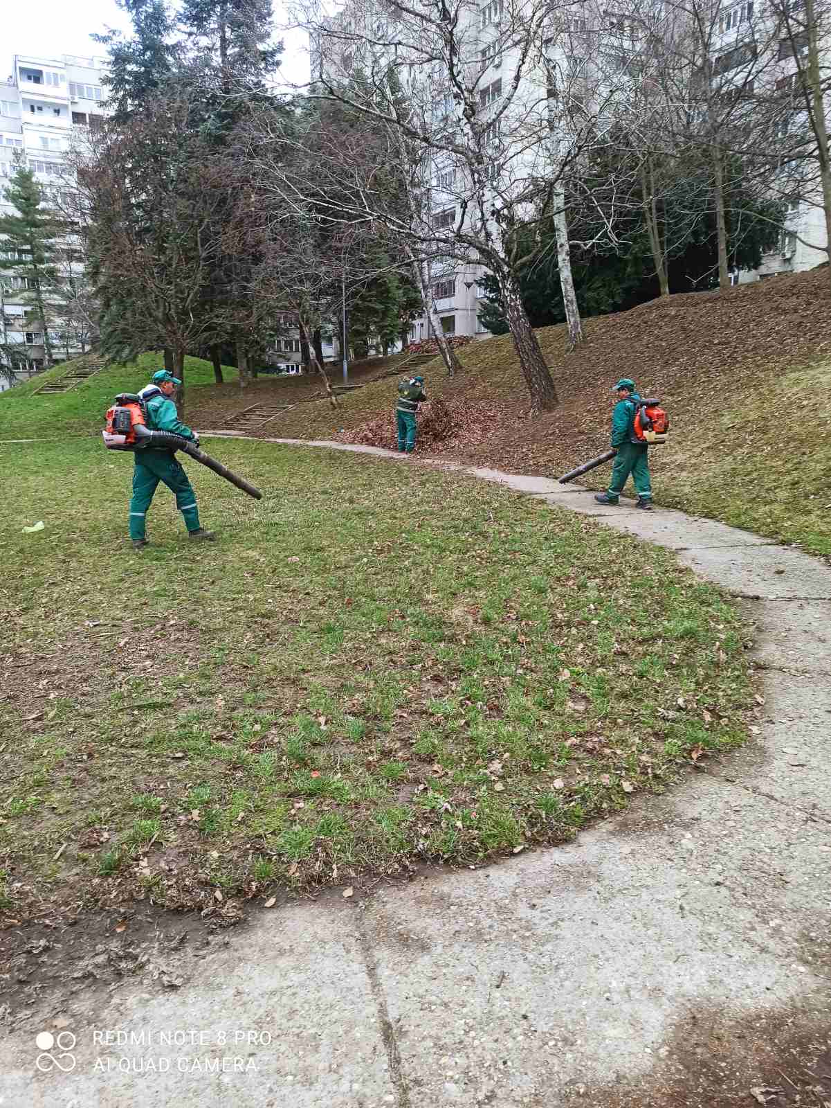 AKCIJA JKP „ZELENILO“ DANAS NA VOŽDOVCU