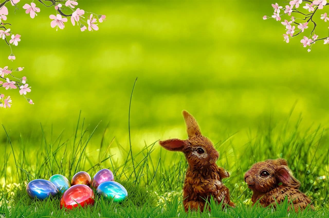 USKRŠNJI ZEC – SIMBOL PLODNOSTI I OBNOVE: Od boginje Eostre do čokoladnih delikatesa
