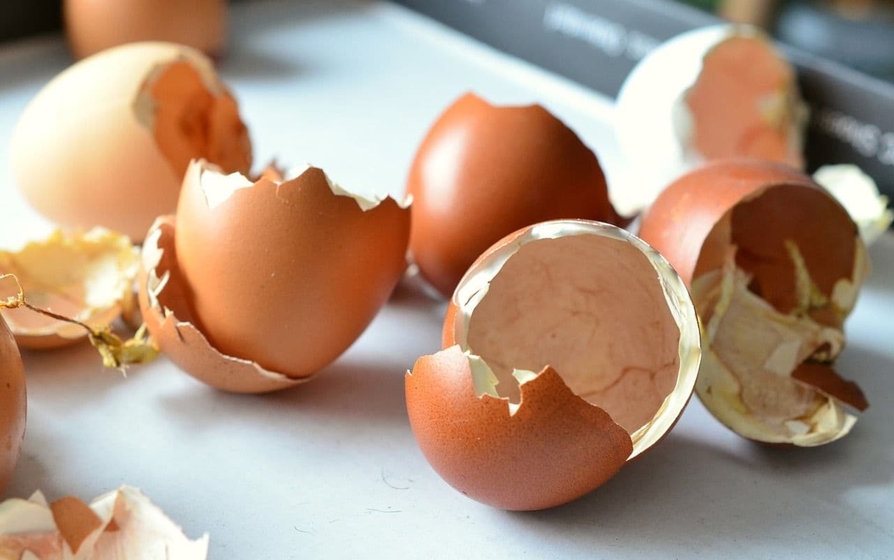 LJUSKE OD JAJA SVI BACAJU, A ONE IMAJU VIŠESTRUKU PRIMENU U DOMAĆINSTVU: Od čišćenja do lepote