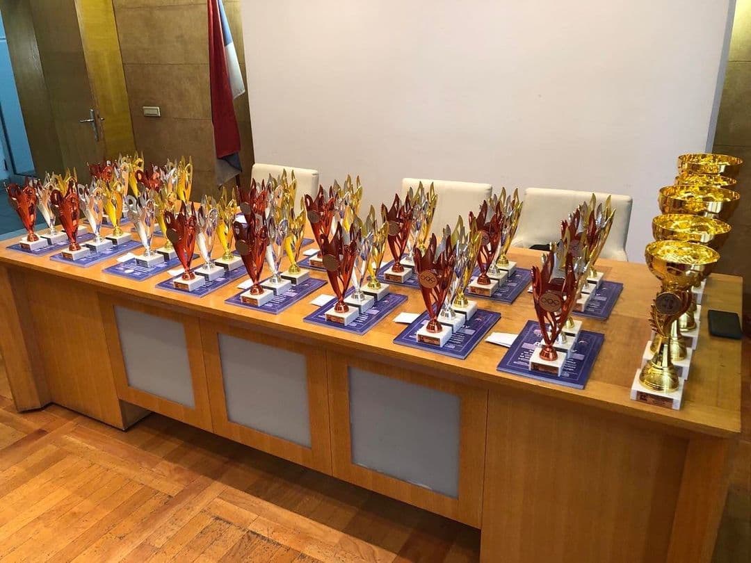 VOŽDOVAC SLAVI SPORTSKE TALENTE: Proglašene najuspešnije škole u takmičenjima za 2023/24. školsku godinu