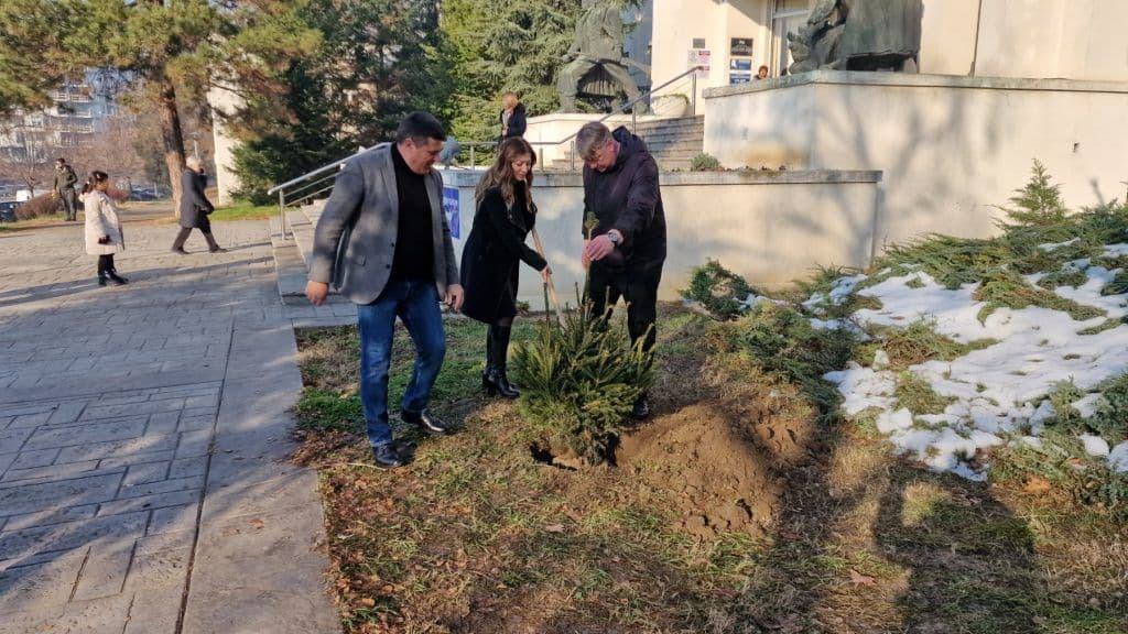 VOŽDOVAC BOGATIJI ZA JOŠ JEDNO DRVO SMRČE: Predsednica Opštine pozvala građane da čuvaju životnu sredinu